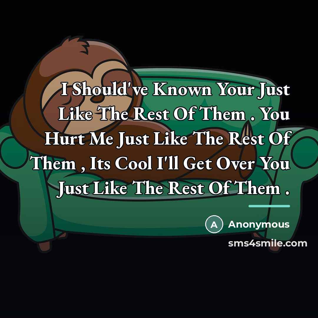 “I Should've Known Your Just Like The Rest Of Them…” quote by Anonymous