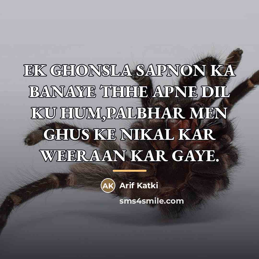 “EK GHONSLA SAPNON KA BANAYE THHE APNE DIL KU HUM,PALBHAR…” quote by Arif Katki