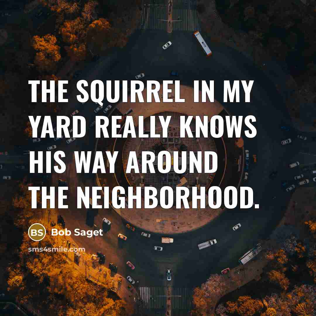“The squirrel in my yard really knows his way around…” quote by Bob Saget