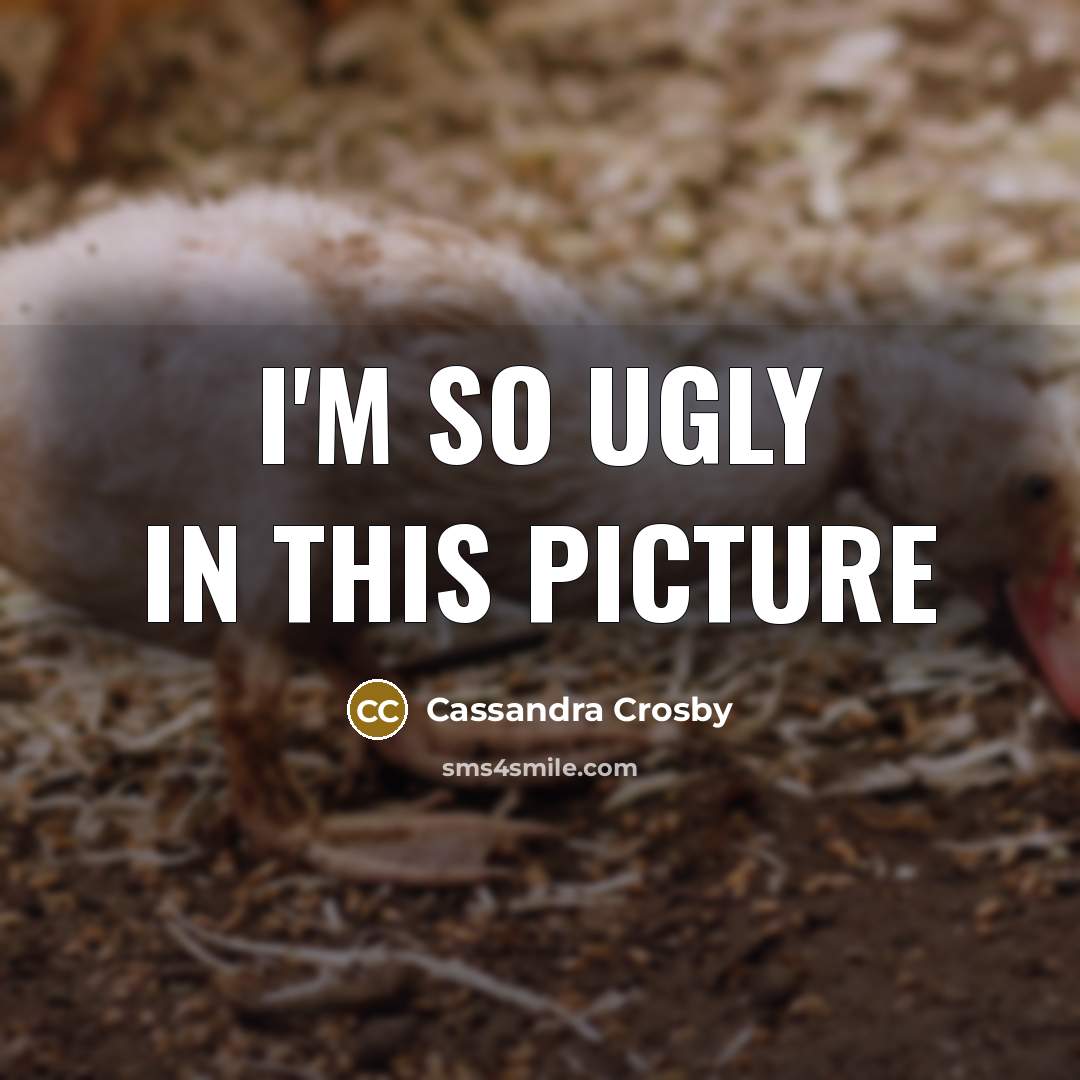 “I'm so ugly in this picture…” quote by Cassandra Crosby