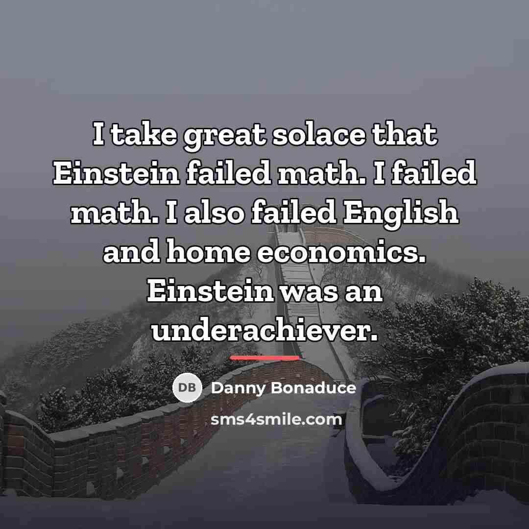 “I take great solace that Einstein failed math. I failed…” quote by Danny Bonaduce