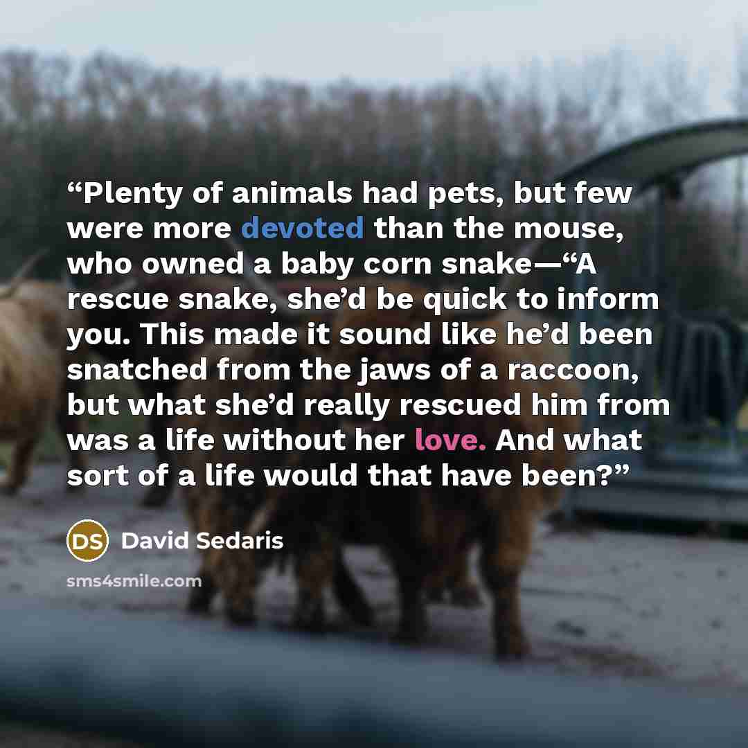 “Plenty of animals had pets, but few were more devoted than the mouse, who owned a baby corn snake—“A rescue snake, she’d be quick to inform you. This made it sound like he’d been snatched from the jaws of a raccoon, but what she’d really rescued him from was a life without her love. And what sort…” quote by David Sedaris