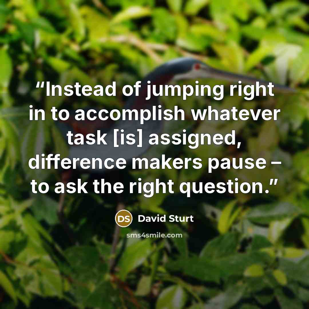 “Instead of jumping right in to accomplish whatever task [is] assigned, difference makers pause – to ask the right question.” quote by David Sturt