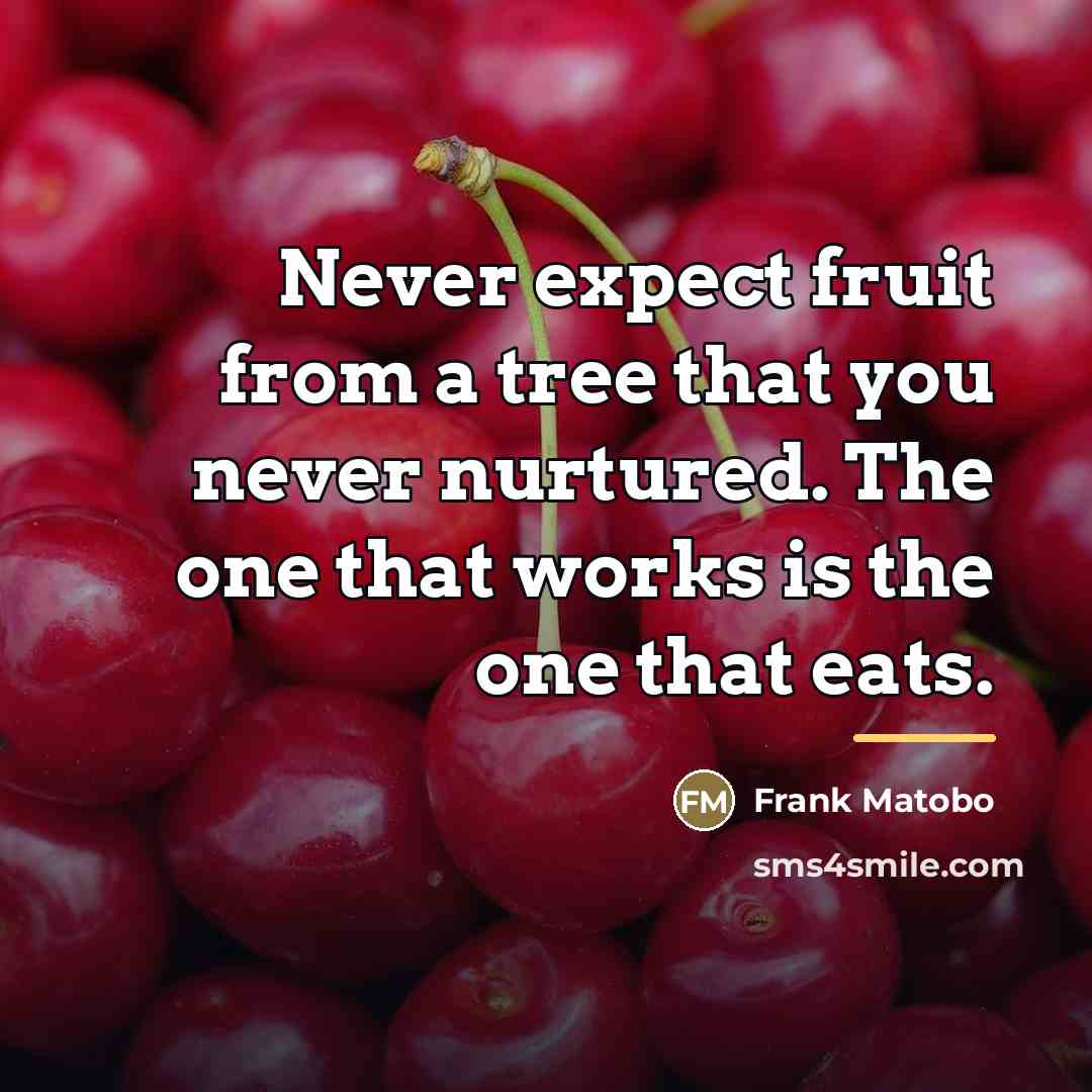 “Never expect fruit from a tree that you never nurtured.…” quote by Frank Matobo