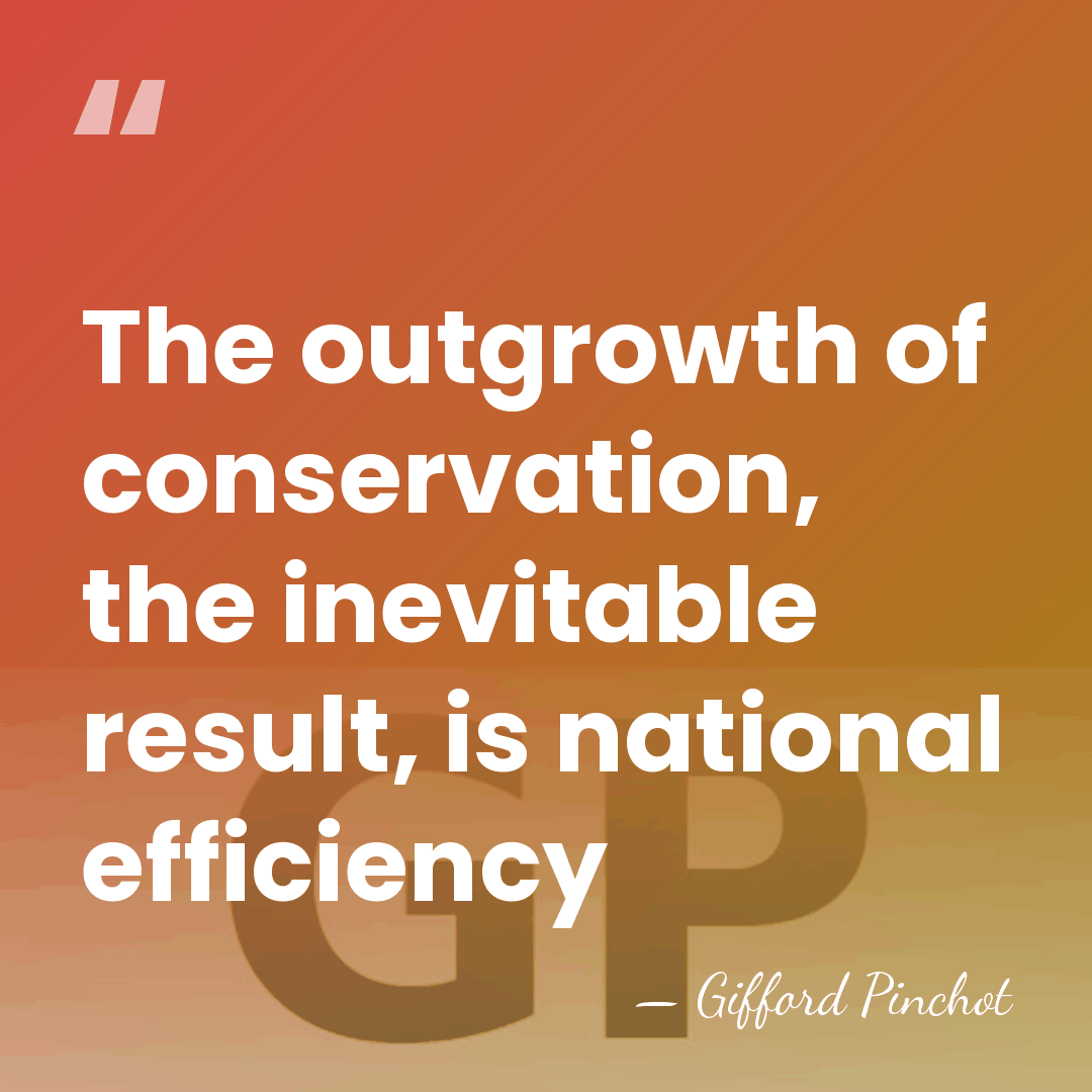The outgrowth of conservation, the inevitable result, is national efficiency - Gifford Pinchot