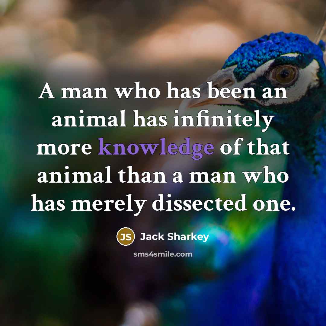 “A man who has been an animal has infinitely more…” quote by Jack Sharkey