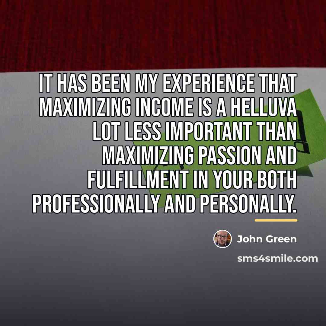 “It has been my experience that maximizing income is a…” quote by John Green
