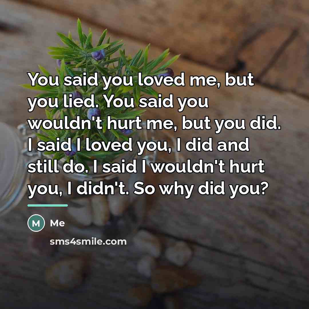 “You said you loved me, but you lied. You said…” quote by Me