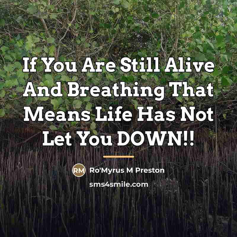 “If You Are Still Alive And Breathing That Means Life…” quote by Ro'Myrus M Preston