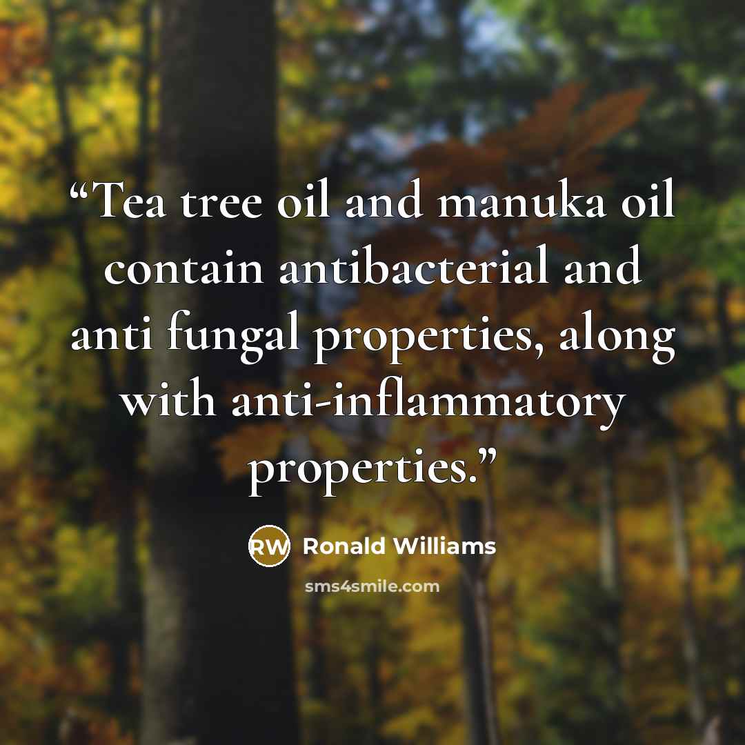 “Tea tree oil and manuka oil contain antibacterial and anti fungal properties, along with anti-inflammatory properties.” quote by Ronald Williams