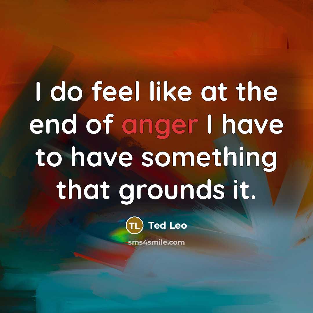 “I do feel like at the end of anger I…” quote by Ted Leo