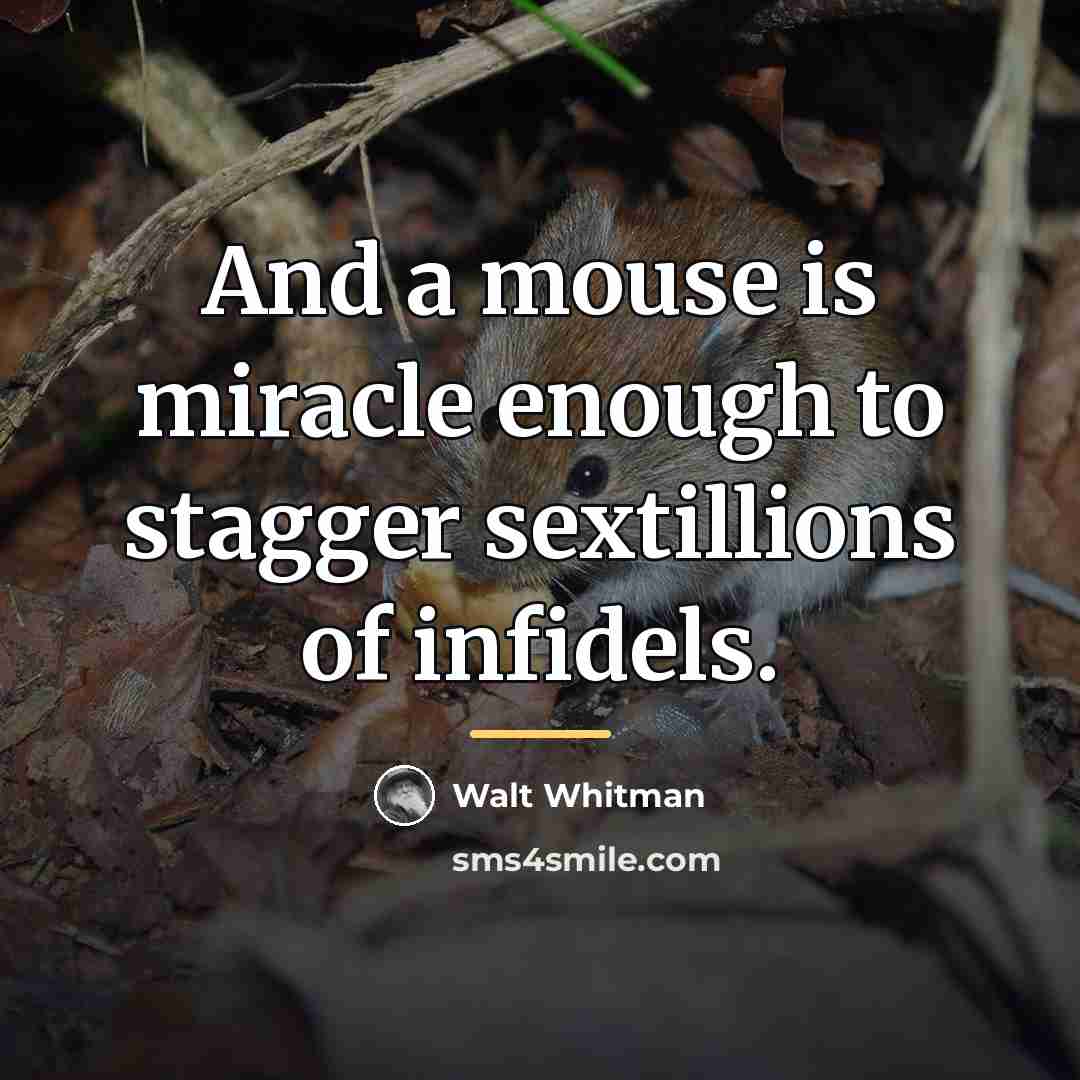 “And a mouse is miracle enough to stagger sextillions of…” quote by Walt Whitman