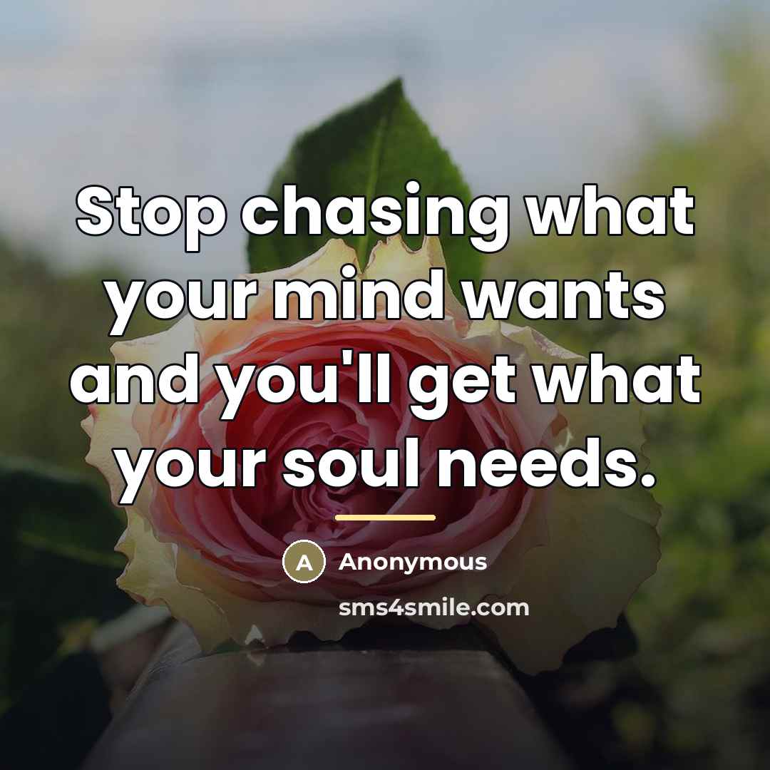 “Stop chasing what your mind wants and you'll get what…” quote by Anonymous