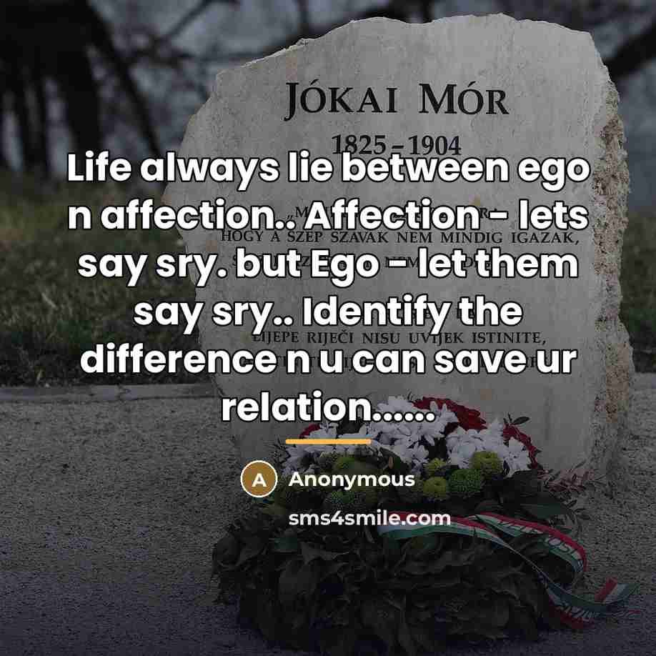 “Life always lie between ego n affection.. Affection - lets…” quote by Anonymous