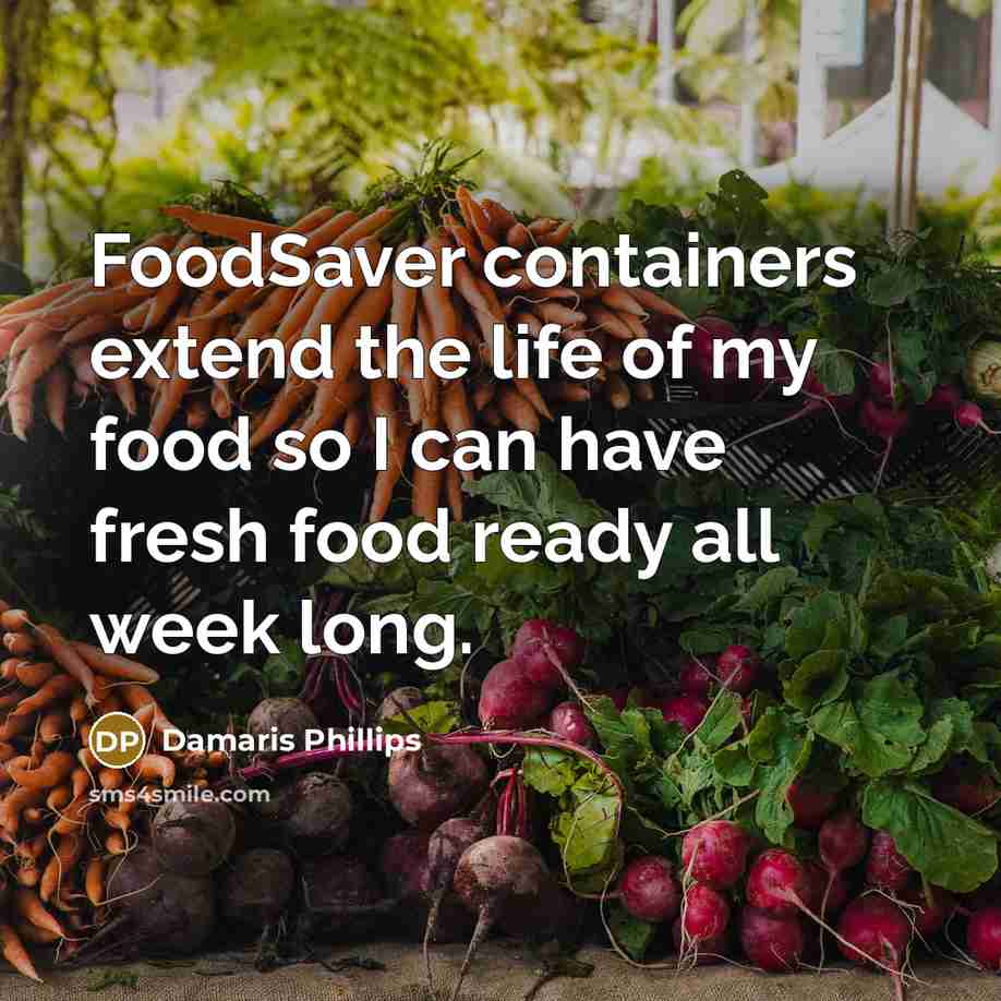 “FoodSaver containers extend the life of my food so I…” quote by Damaris Phillips