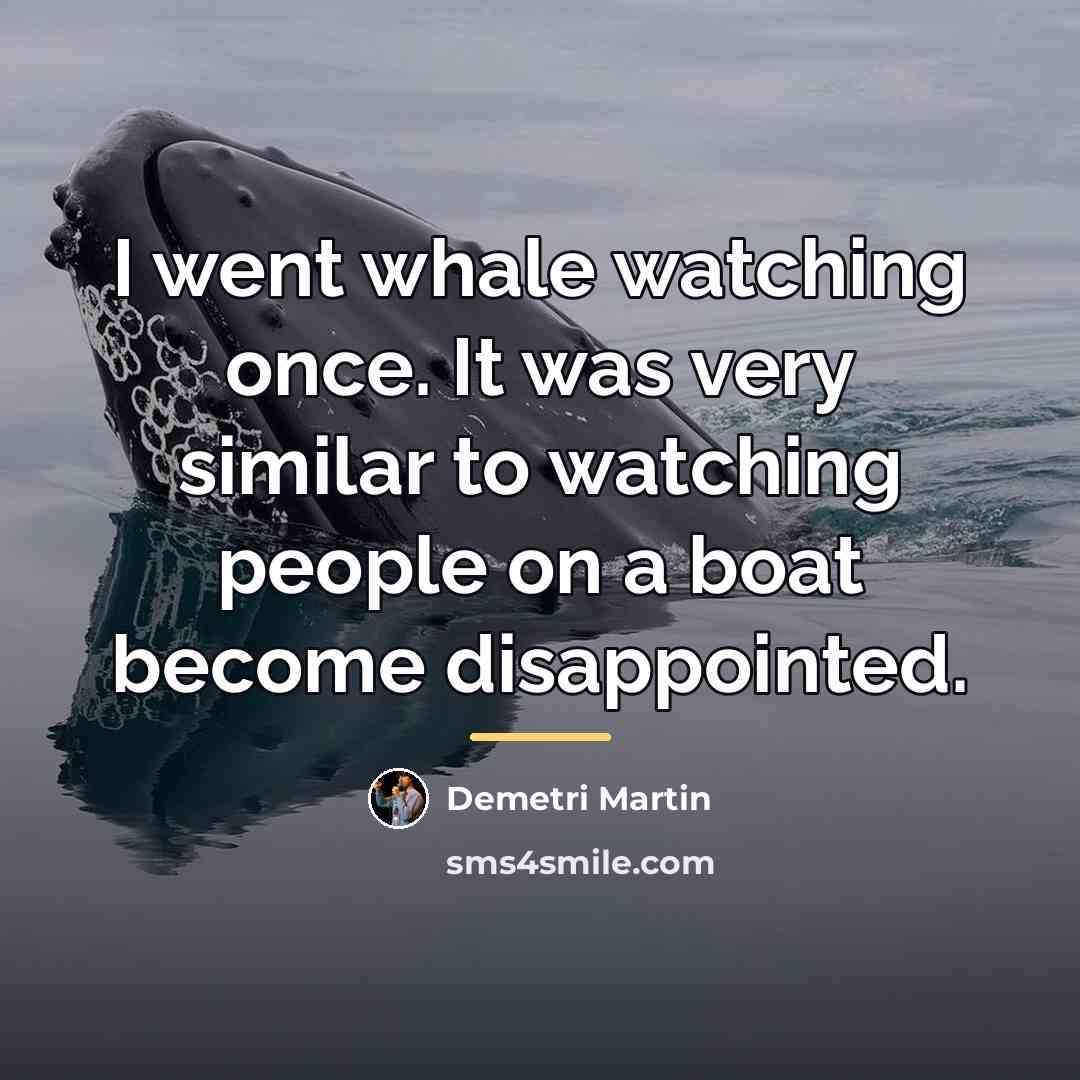 “I went whale watching once. It was very similar to…” quote by Demetri Martin