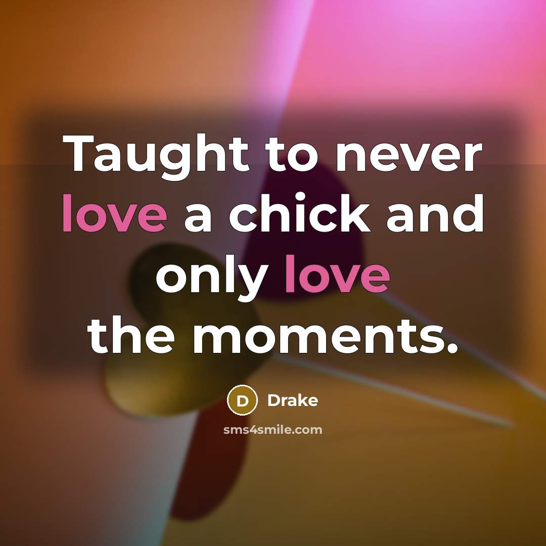 “Taught to never love a chick and only love the…” quote by Drake