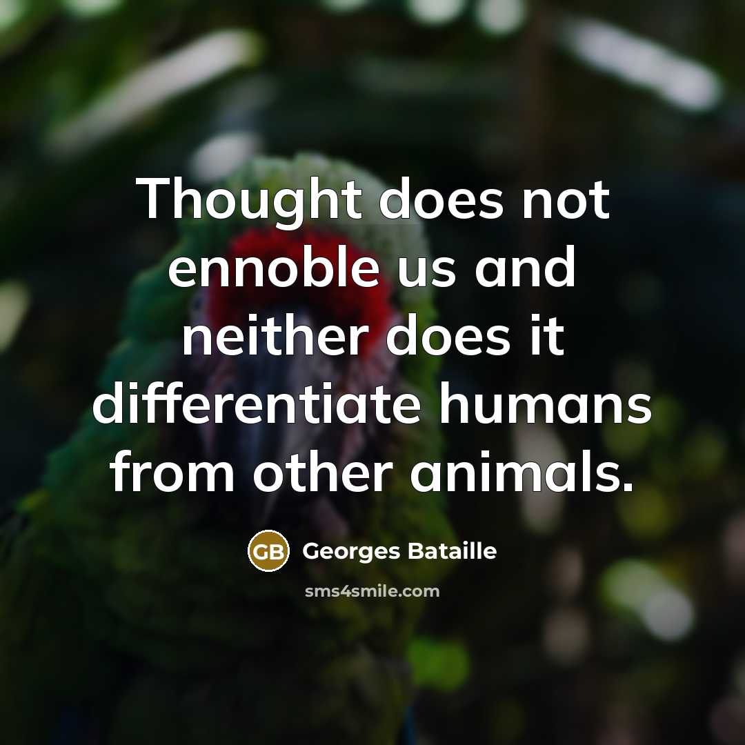 “Thought does not ennoble us and neither does it differentiate…” quote by Georges Bataille