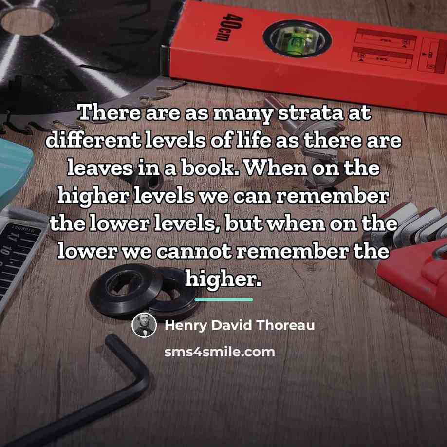 “There are as many strata at different levels of life…” quote by Henry David Thoreau