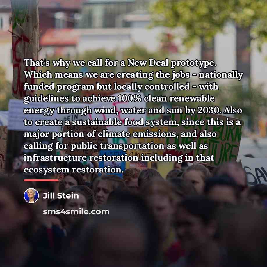 “That's why we call for a New Deal prototype. Which…” quote by Jill Stein