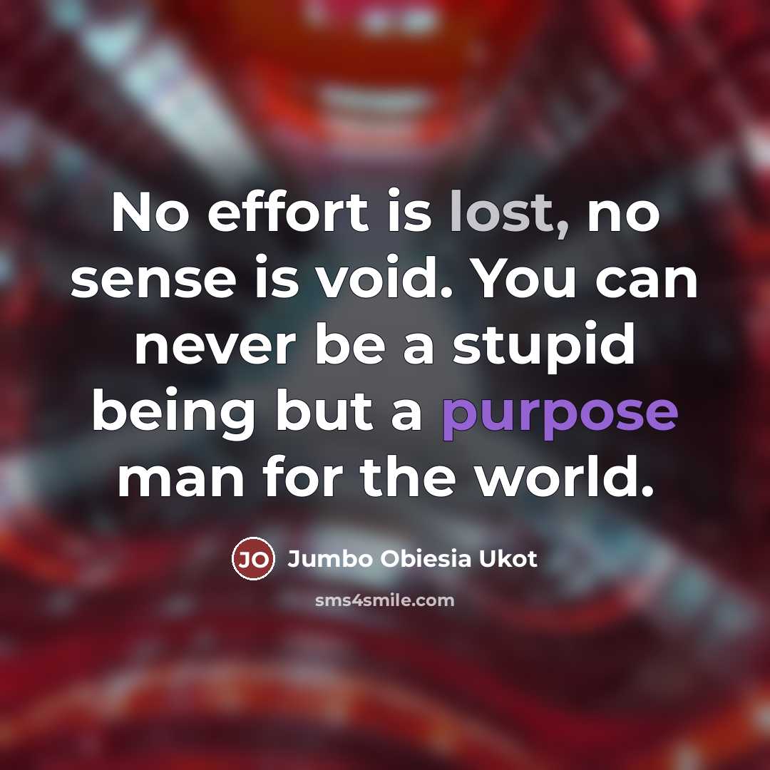 “No effort is lost, no sense is void. You can…” quote by Jumbo Obiesia Ukot