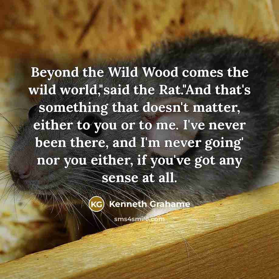 “Beyond the Wild Wood comes the wild world,"said the Rat."And…” quote by Kenneth Grahame