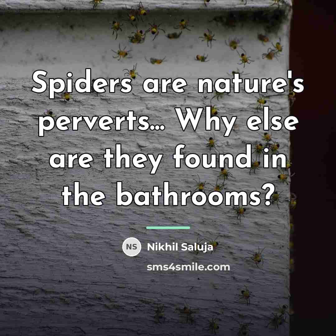 “Spiders are nature's perverts... Why else are they found in…” quote by Nikhil Saluja