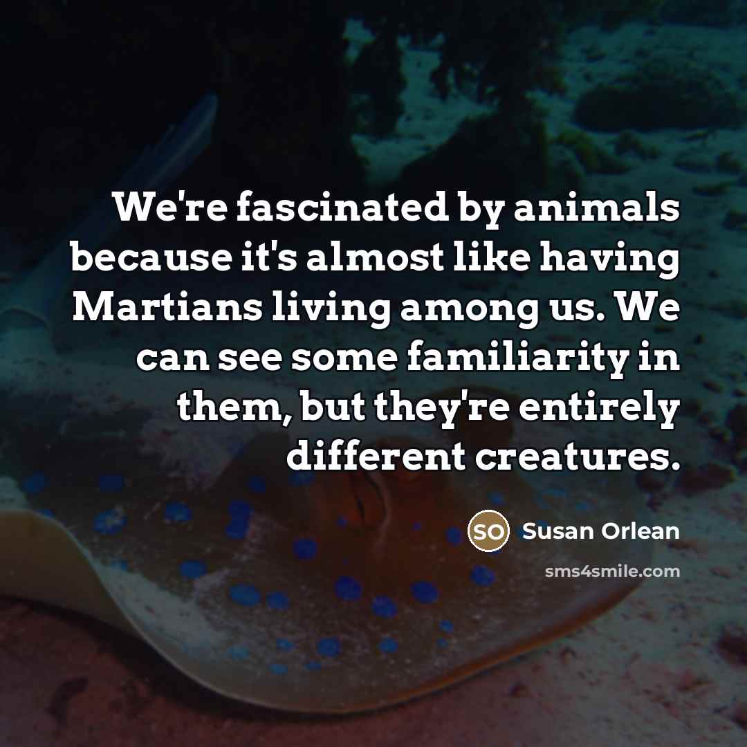 “We're fascinated by animals because it's almost like having Martians…” quote by Susan Orlean