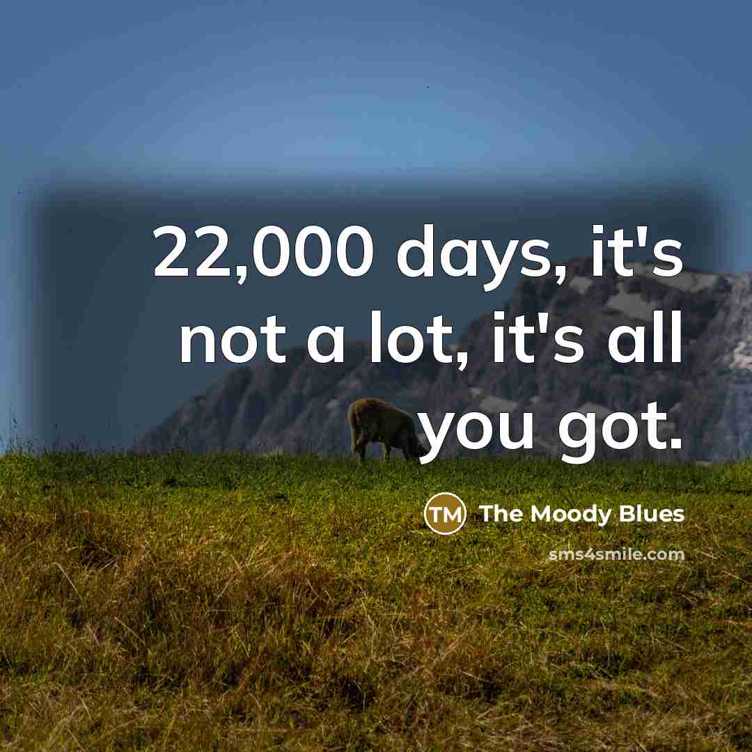 “22,000 days, it's not a lot, it's all you got.” quote by The Moody Blues