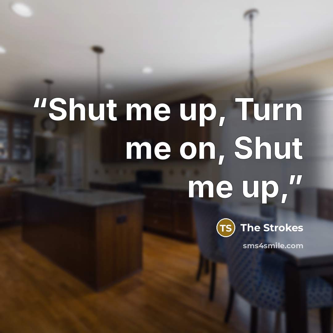 “Shut me up, Turn me on, Shut me up,” quote by The Strokes