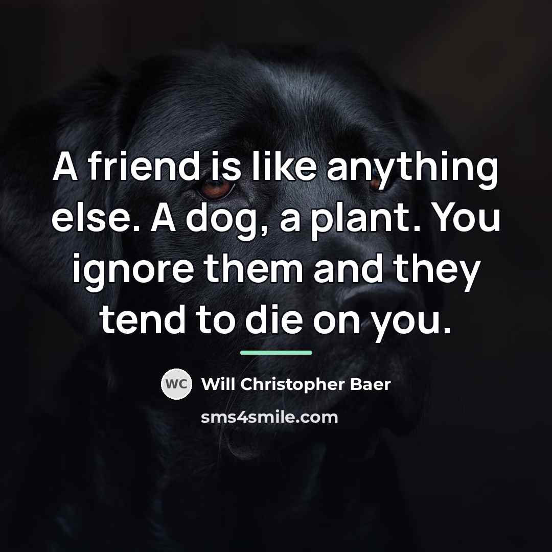 “A friend is like anything else. A dog, a plant.…” quote by Will Christopher Baer