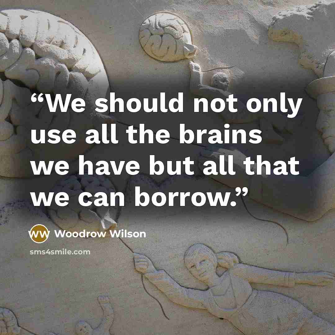 “We should not only use all the brains we have but all that we can borrow.” quote by Woodrow Wilson