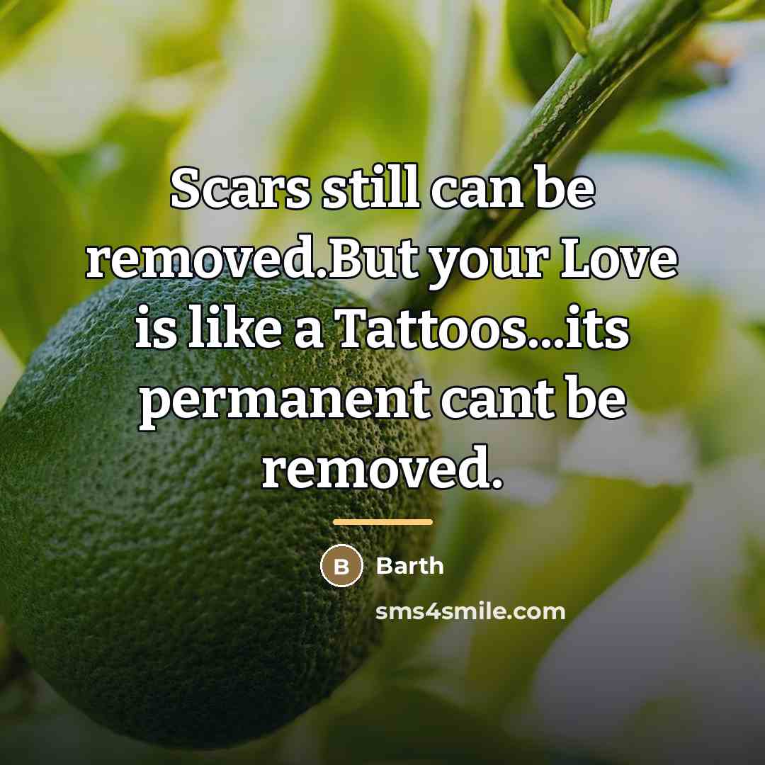 “Scars still can be removed.But your Love is like a…” quote by Barth