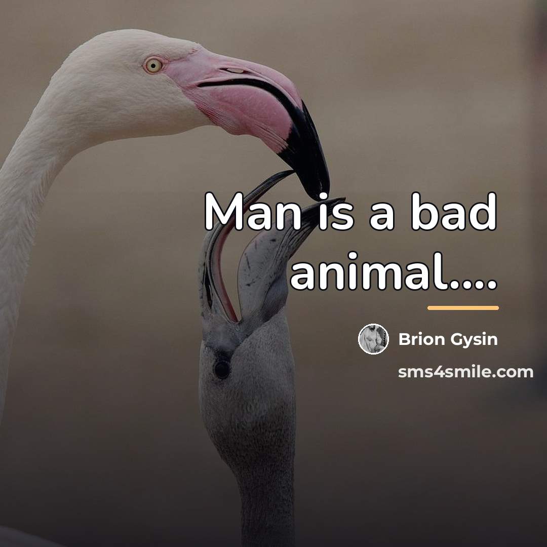 “Man is a bad animal....…” quote by Brion Gysin