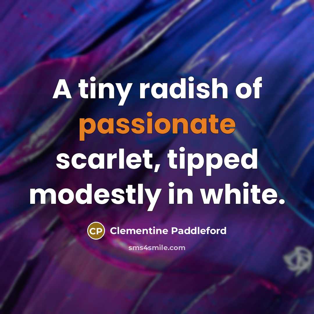 “A tiny radish of passionate scarlet, tipped modestly in white.…” quote by Clementine Paddleford