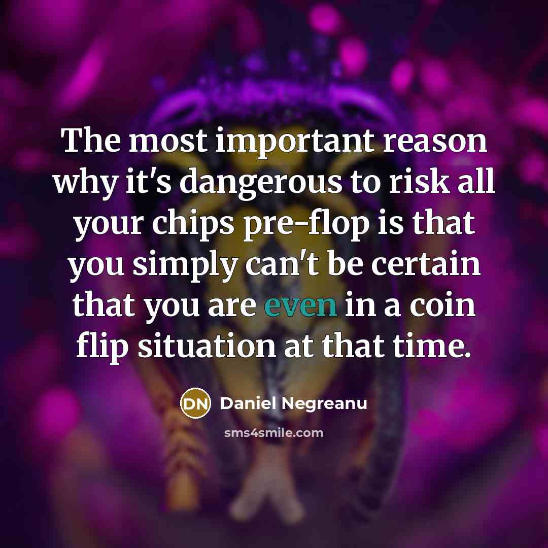 “The most important reason why it's dangerous to risk all…” quote by Daniel Negreanu