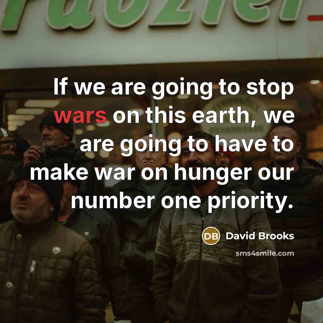 “If we are going to stop wars on this earth,…” quote by David Brooks