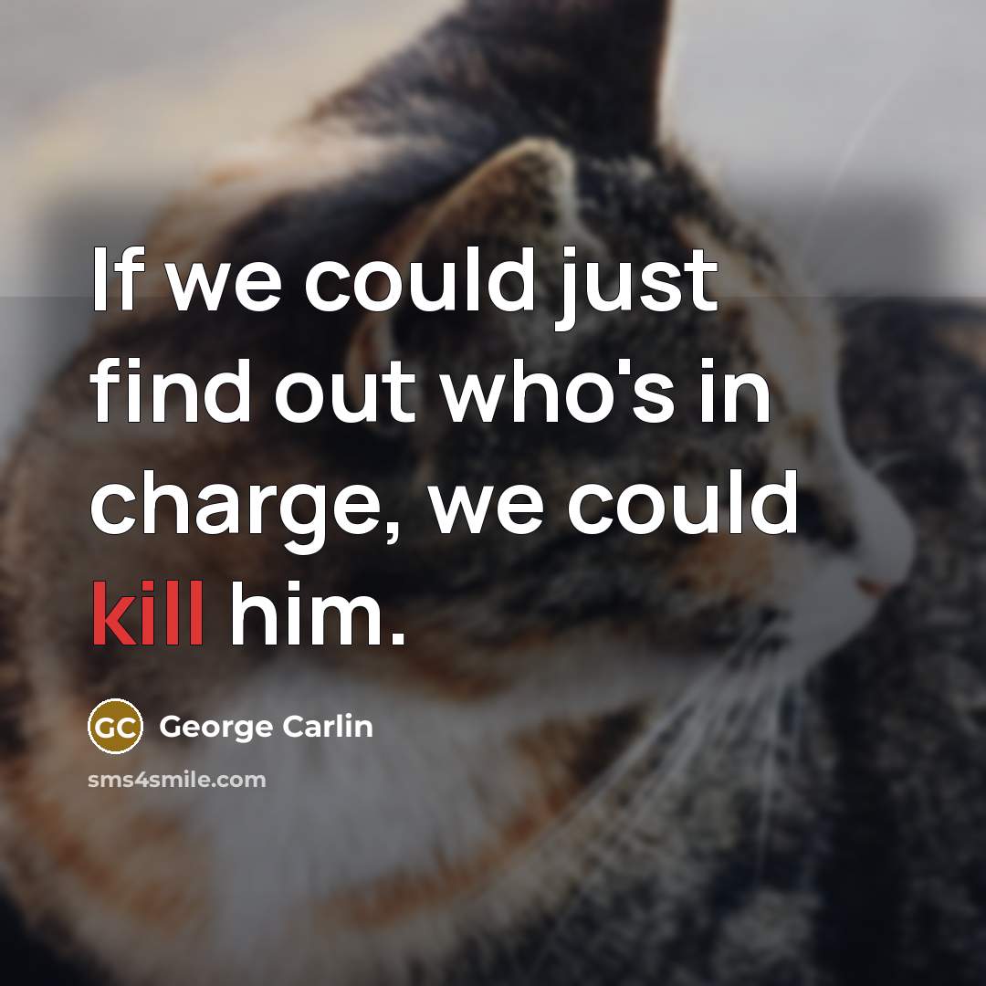 “If we could just find out who's in charge, we could kill him.” quote by George Carlin