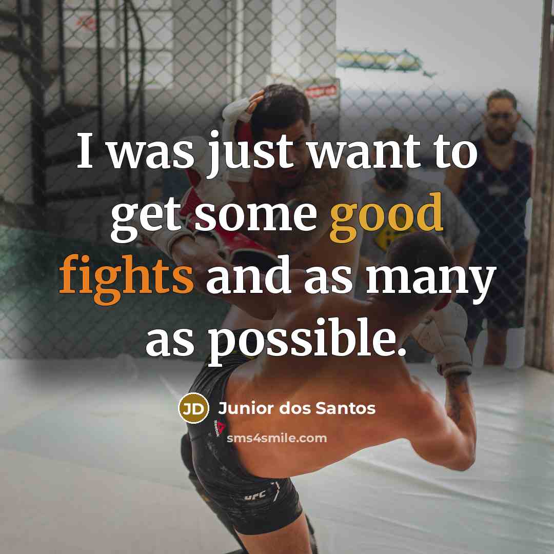 “I was just want to get some good fights and…” quote by Junior dos Santos
