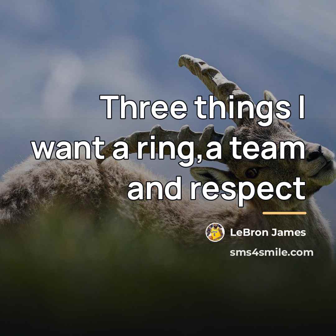 “Three things I want a ring,a team and respect…” quote by LeBron James