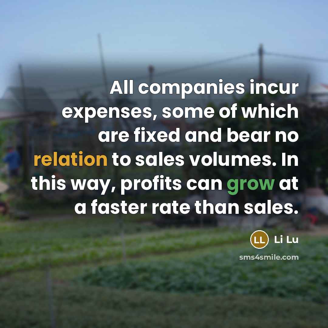 “All companies incur expenses, some of which are fixed and…” quote by Li Lu