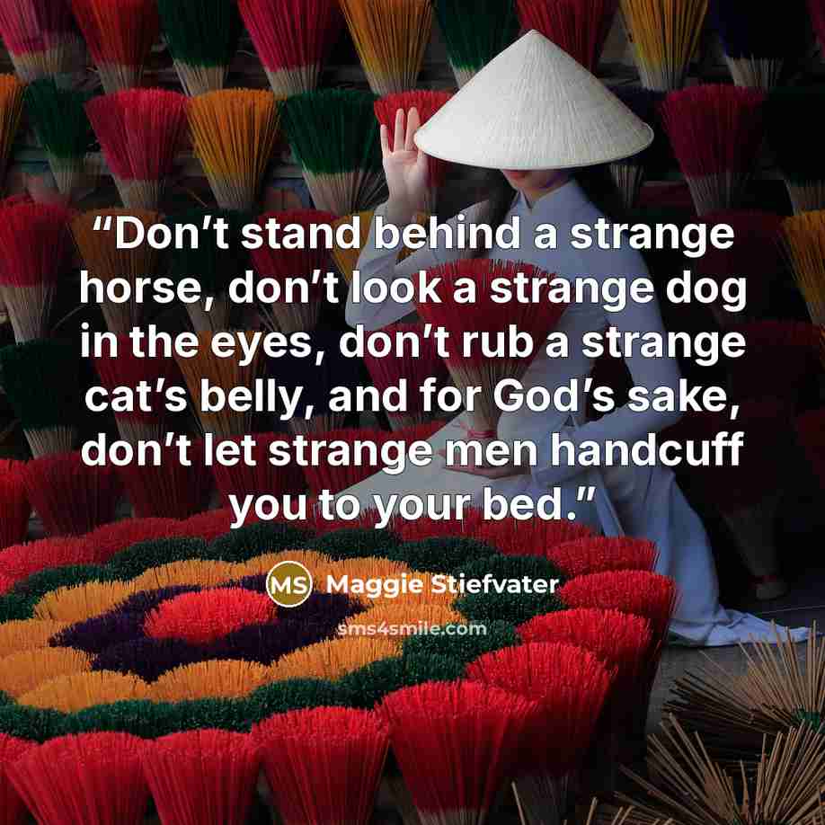 “Don’t stand behind a strange horse, don’t look a strange dog in the eyes, don’t rub a strange cat’s belly, and for God’s sake, don’t let strange men handcuff you to your bed.” quote by Maggie Stiefvater