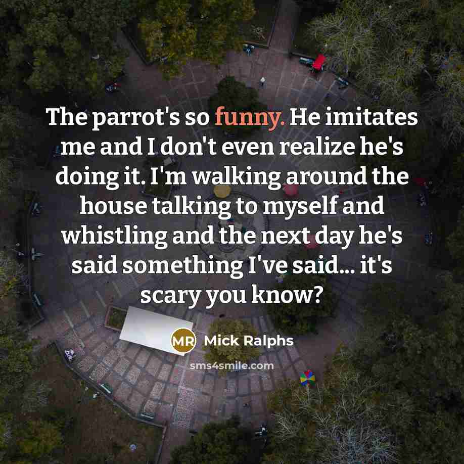 “The parrot's so funny. He imitates me and I don't…” quote by Mick Ralphs
