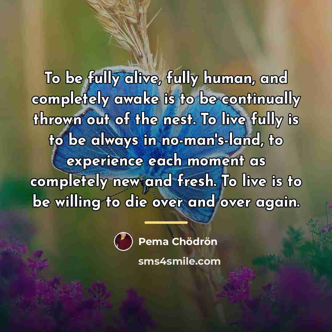 “To be fully alive, fully human, and completely awake is…” quote by Pema Chodron