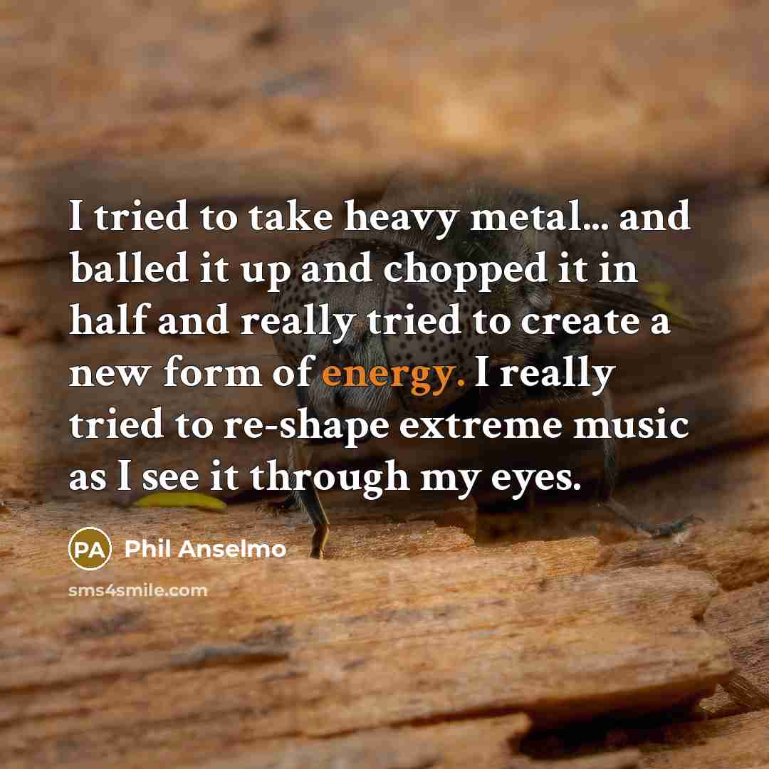“I tried to take heavy metal... and balled it up…” quote by Phil Anselmo