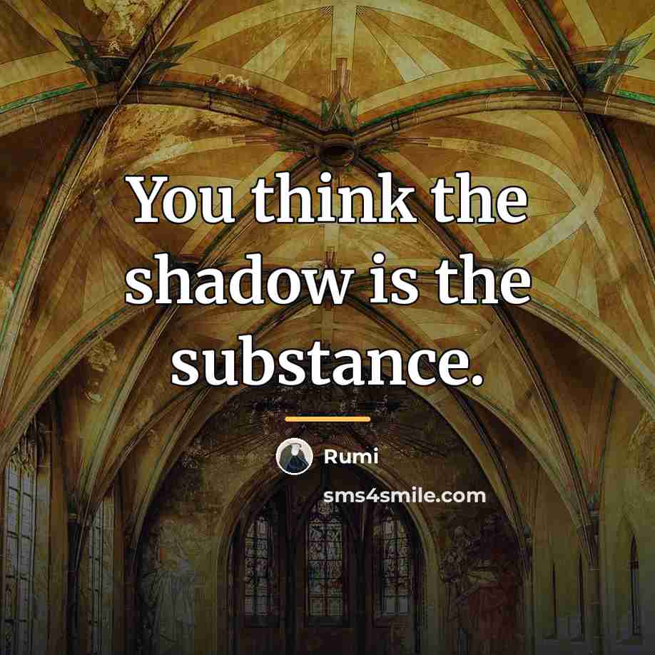 “You think the shadow is the substance.…” quote by Rumi