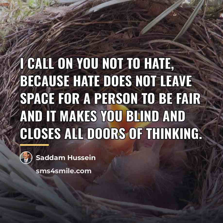 “I call on you not to hate, because hate does…” quote by Saddam Hussein