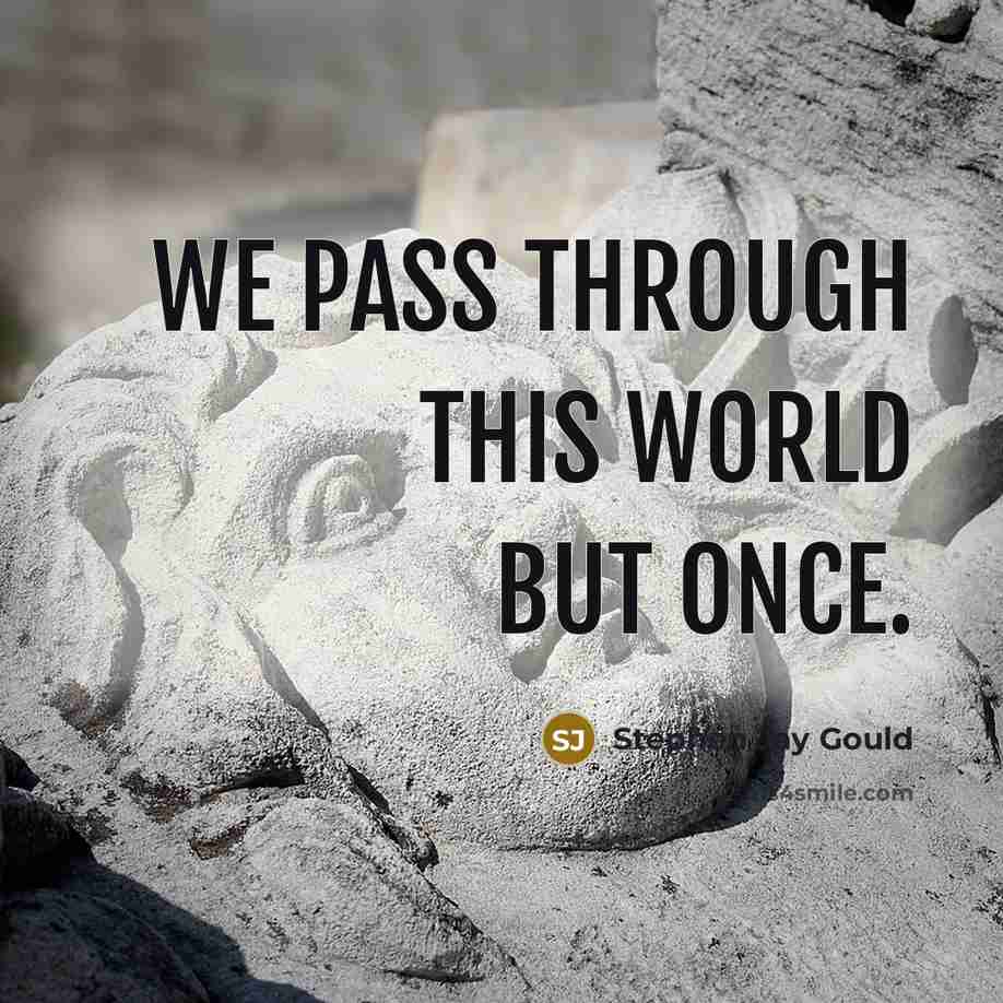 “We pass through this world but once.…” quote by Stephen Jay Gould
