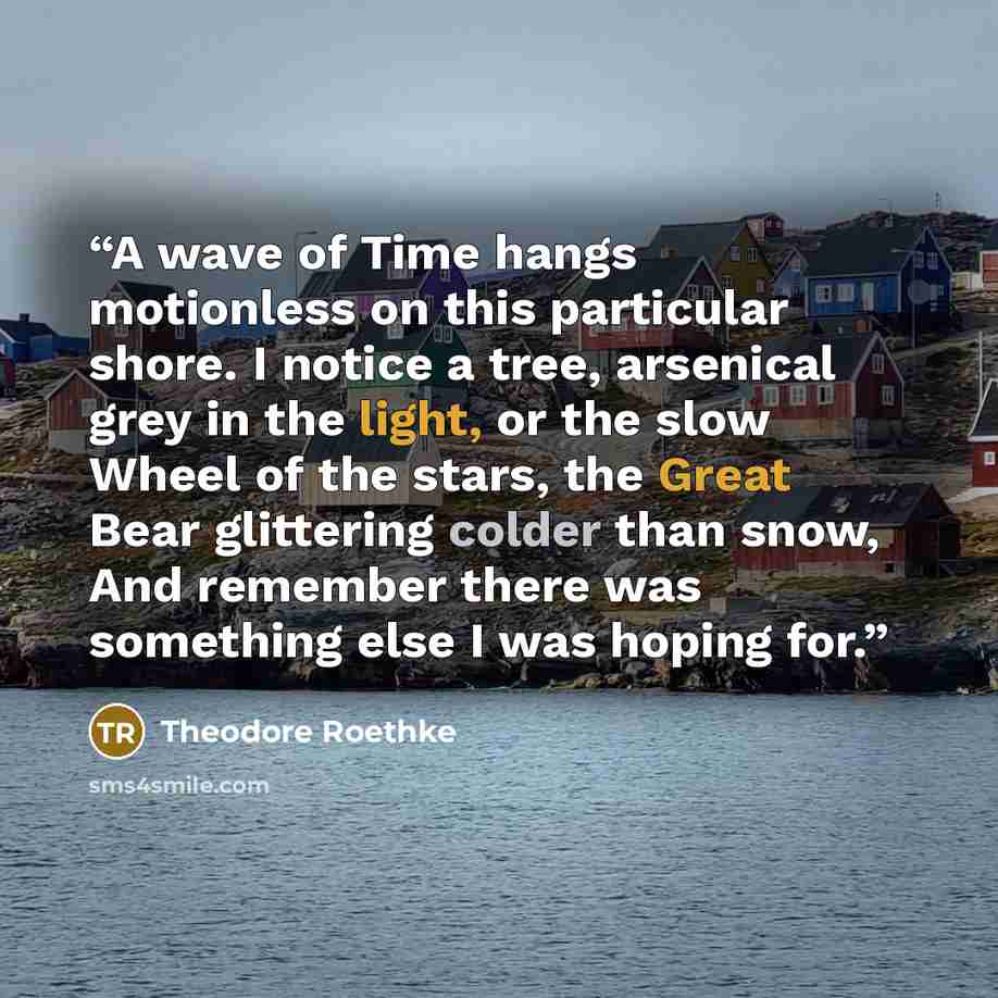“A wave of Time hangs motionless on this particular shore. I notice a tree, arsenical grey in the light, or the slow Wheel of the stars, the Great Bear glittering colder than snow, And remember there was something else I was hoping for.” quote by Theodore Roethke