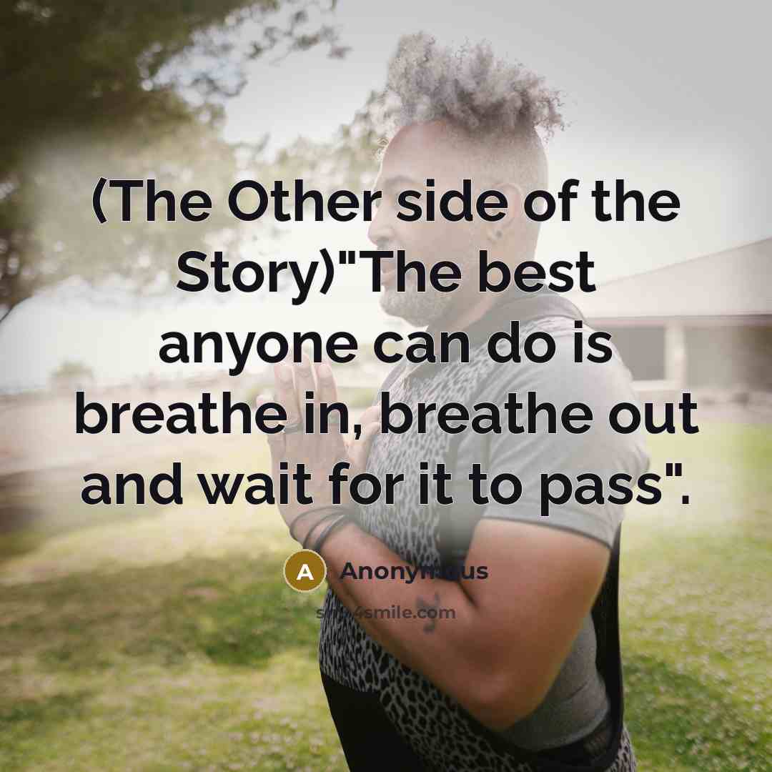 “(The Other side of the Story)"The best anyone can do…” quote by Anonymous